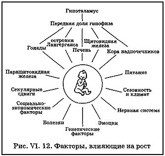 Факторы, влияющие на рост в периоде увеличения