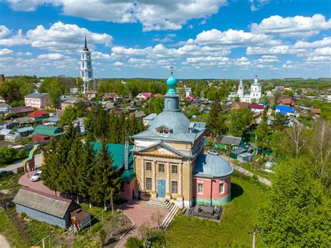 Факты о енцефалите в Тульской области