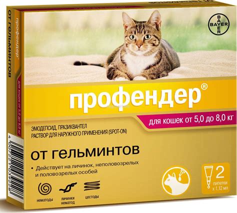 Факт 3. Альтернативы Отипаксу для лечения котят