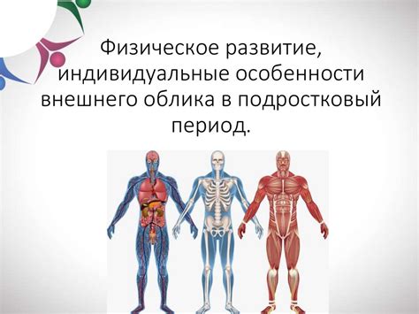 Физиологические особенности организма подростков