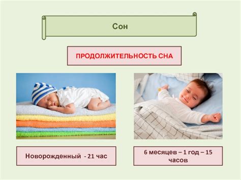 Физиология двухразового сна