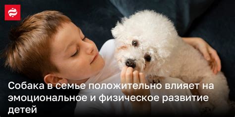 Физическое и эмоциональное развитие