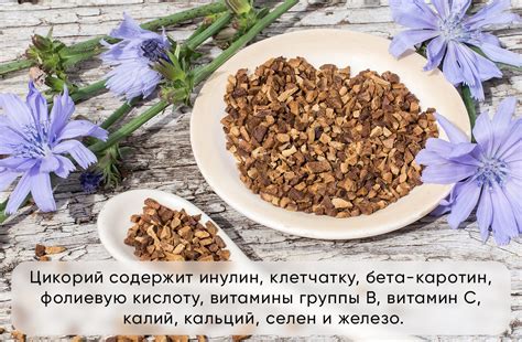 Цикорий: свойства и польза для здоровья