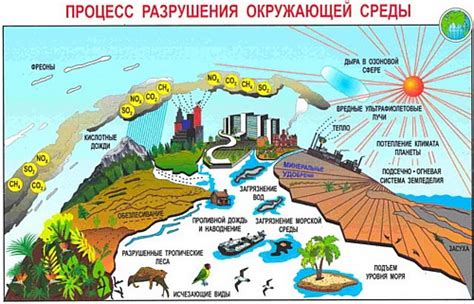 Человек и окружающая среда