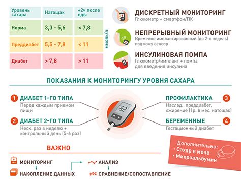 Черноплодная рябина для контроля уровня сахара в крови