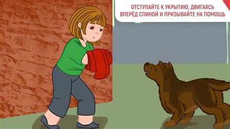 Что делать, если возникла встреча с бешеной собакой
