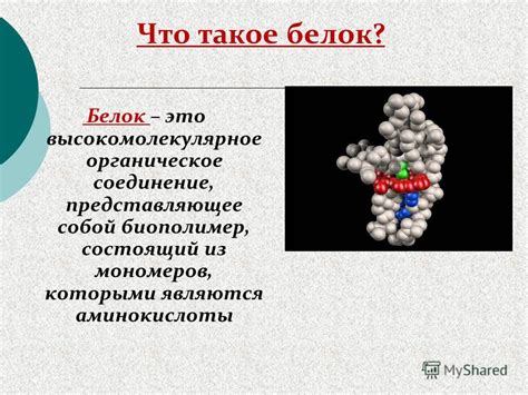 Что такое белок