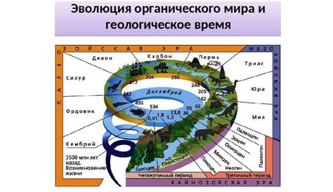 Эволюционные учения: происхождение и развитие жизни на Земле