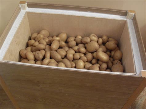 Эксклюзивные методы хранения картошки в земле в домашних условиях
