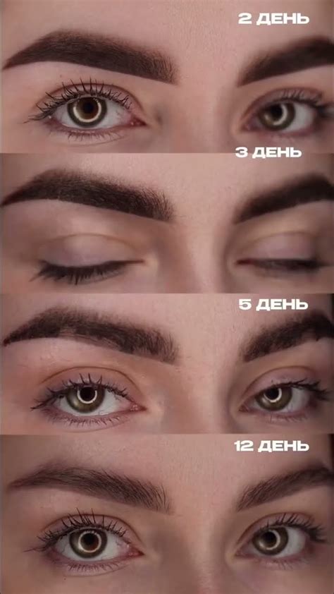 Этапы выполнения перманентного макияжа бровей