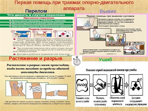 Эффективная первая помощь для собаки