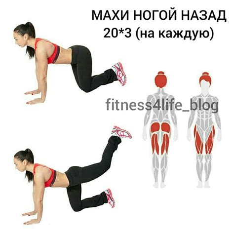 Эффективные упражнения для тренировок