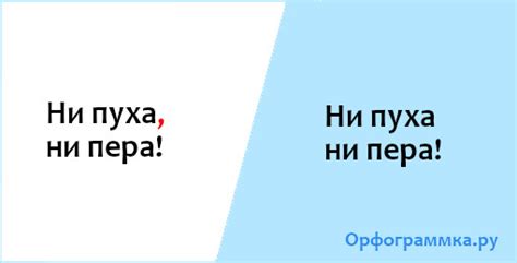  Запятая после "ни пуха ни пера" при отрицании 