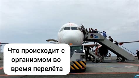  Как минимизировать возможные негативные последствия полета 