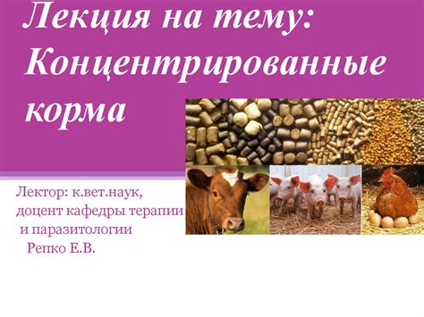  Качество корма 