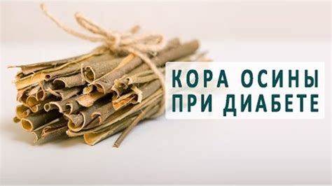  Роль осиновой коры в лечении сахарного диабета 