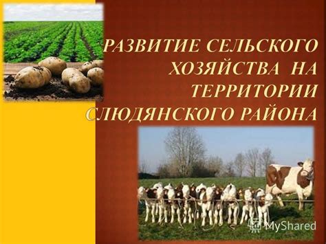  Фермерские хозяйства: покупайте у производителя 