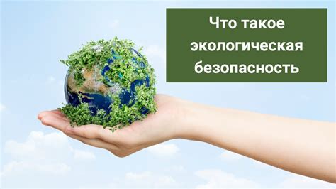  Экологическая безопасность и гипоаллергенность 