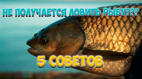 Tоп-5 советов для успешной ловли на Новомарьевском лимане